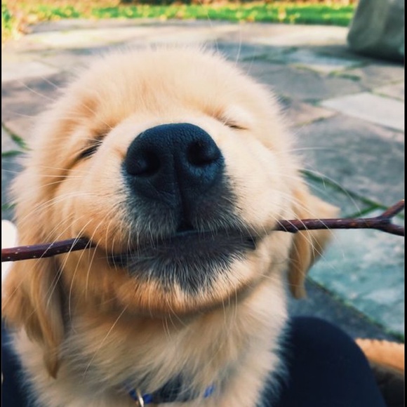 Handbags - Best.Damn.Share.Group.